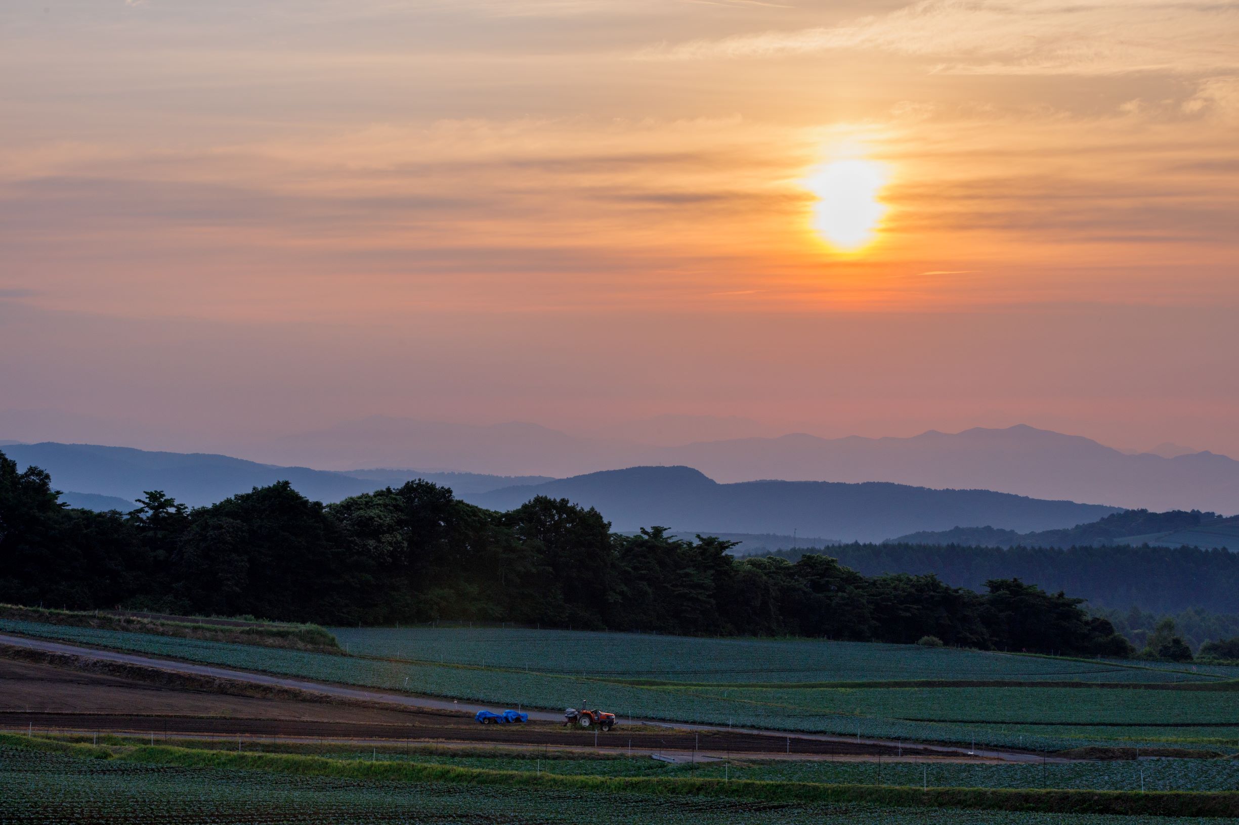 第55回(令和4年度)嬬恋村長賞の作品写真