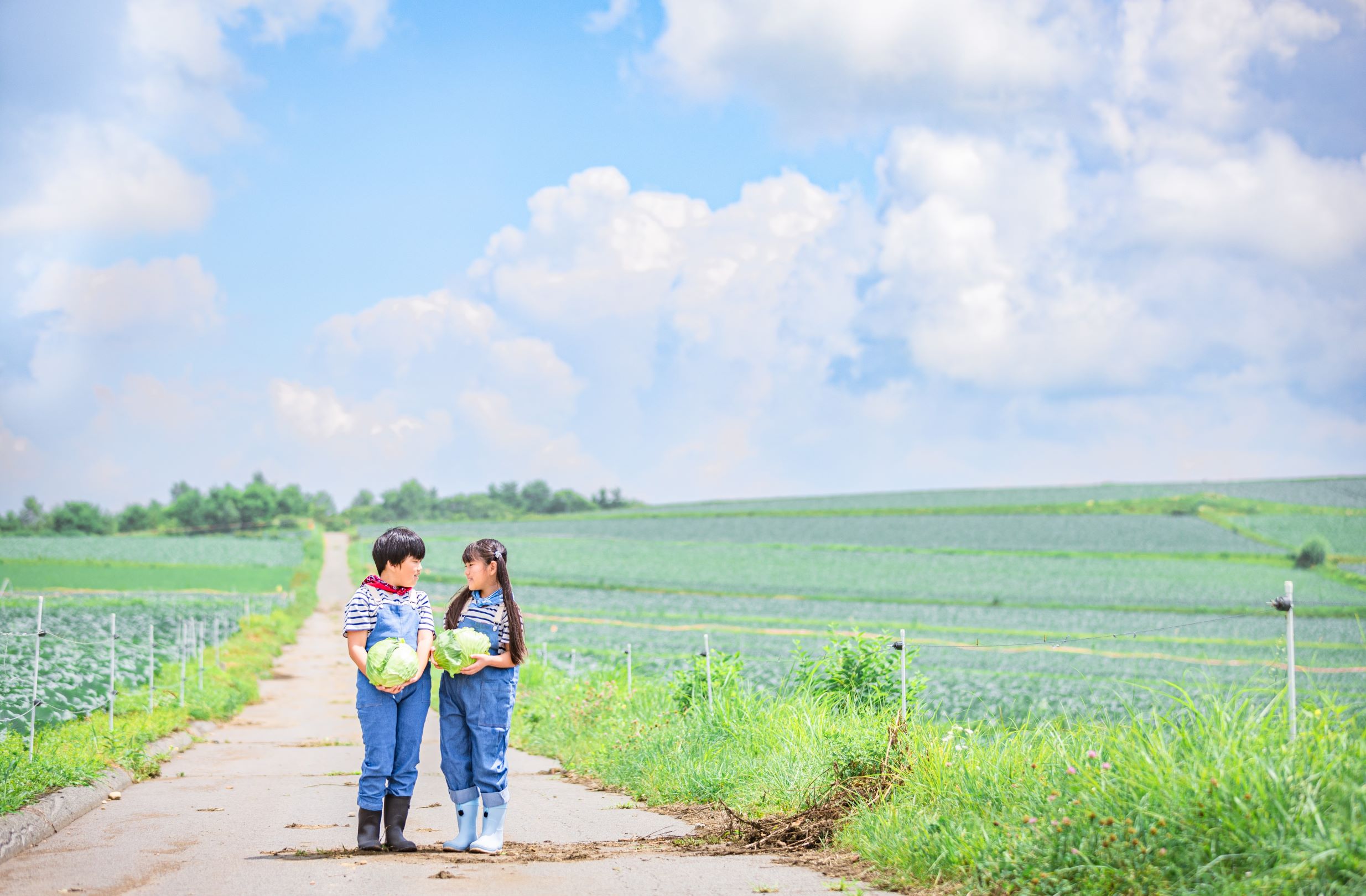 第57回(令和6年度)嬬恋村観光協会長賞の作品写真