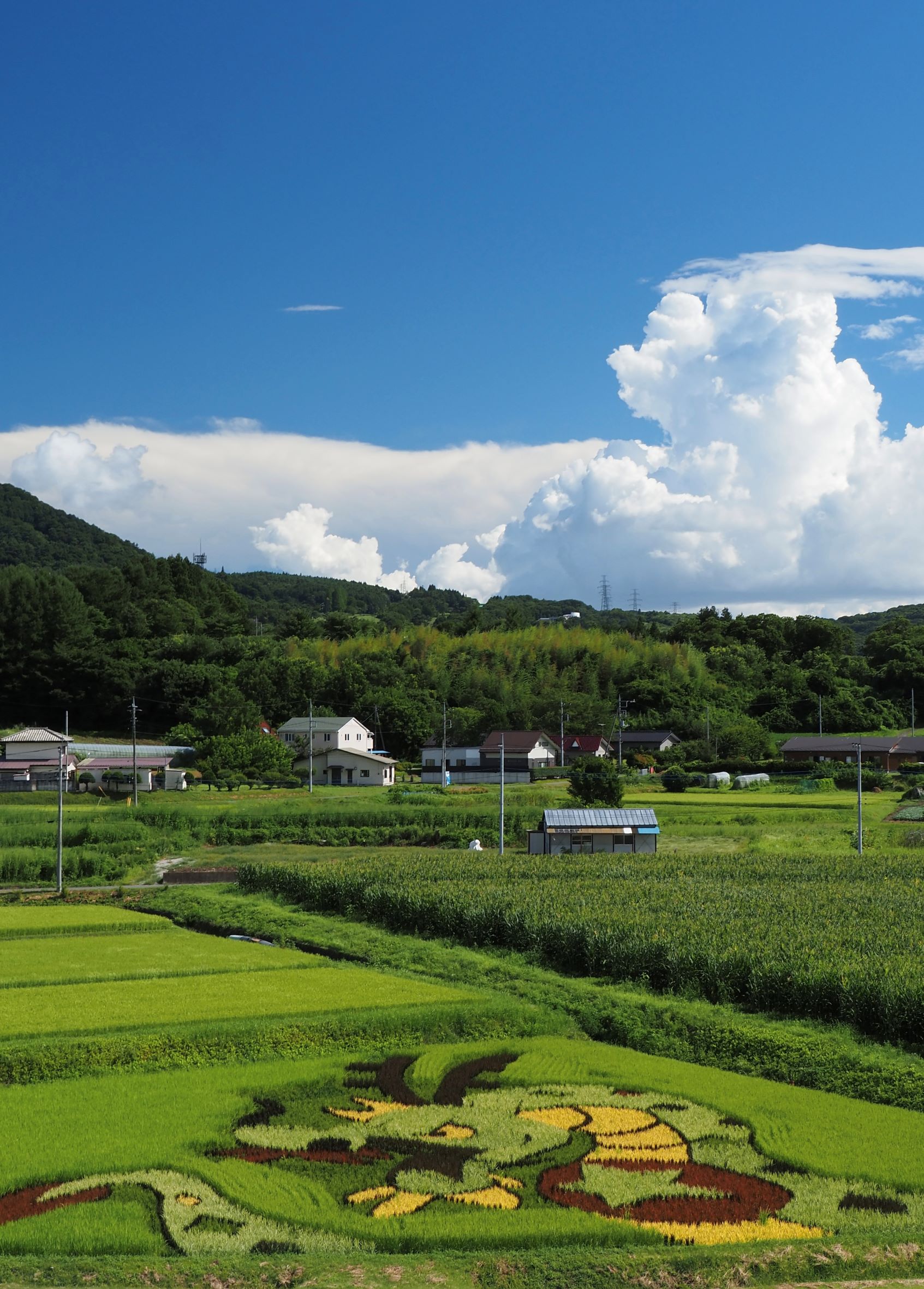 第57回(令和6年度)高山村長賞の作品写真