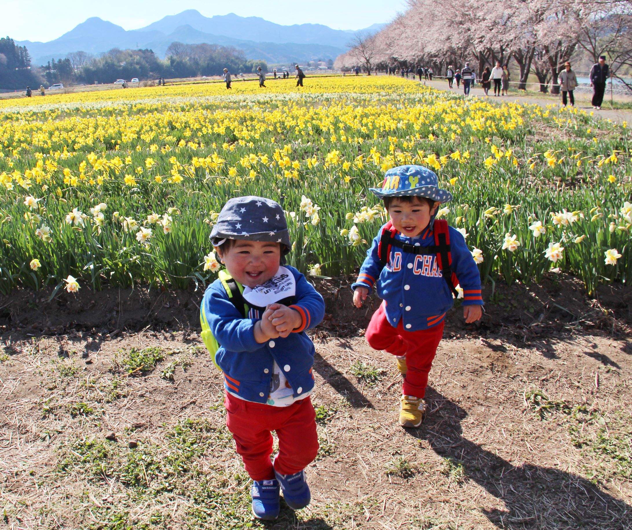 第56回（令和5年度）東吾妻町長賞の作品写真