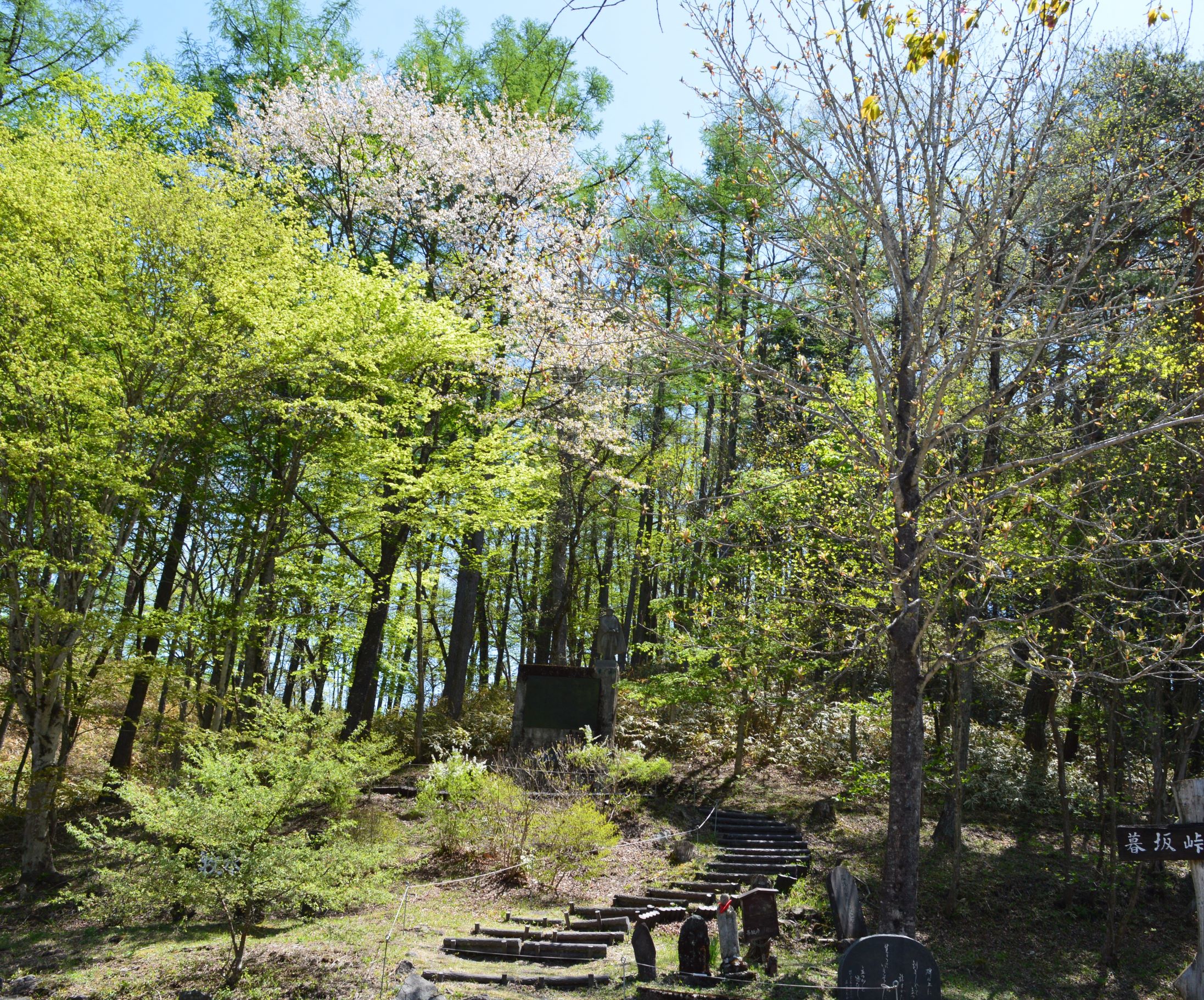 第57回（令和6年度）沢渡温泉旅館組合長賞　（中之条町・暮坂峠）の写真