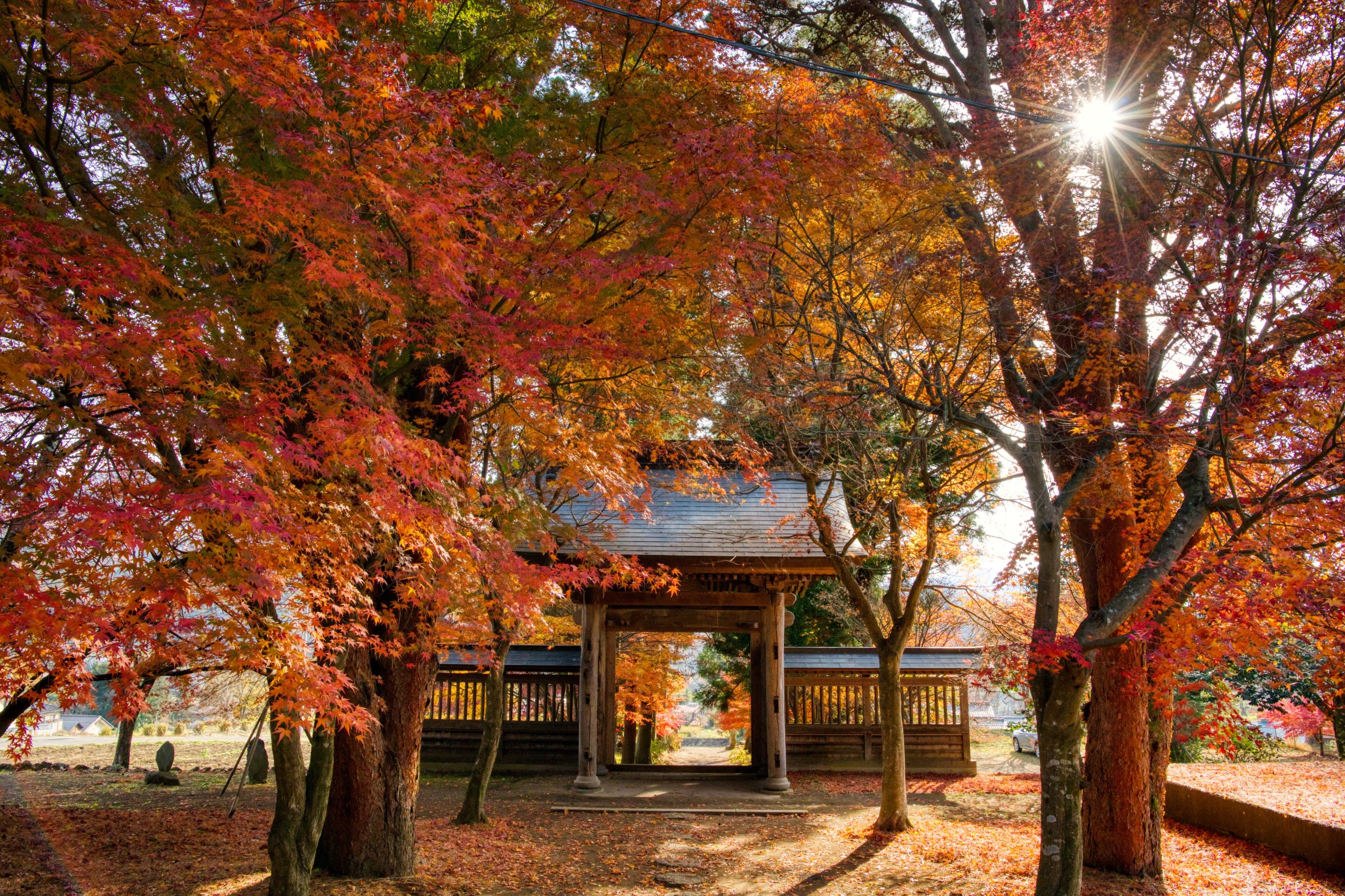 第55回(令和4年度)高山村長賞 泉龍寺の紅葉(高山村・泉龍寺)の写真