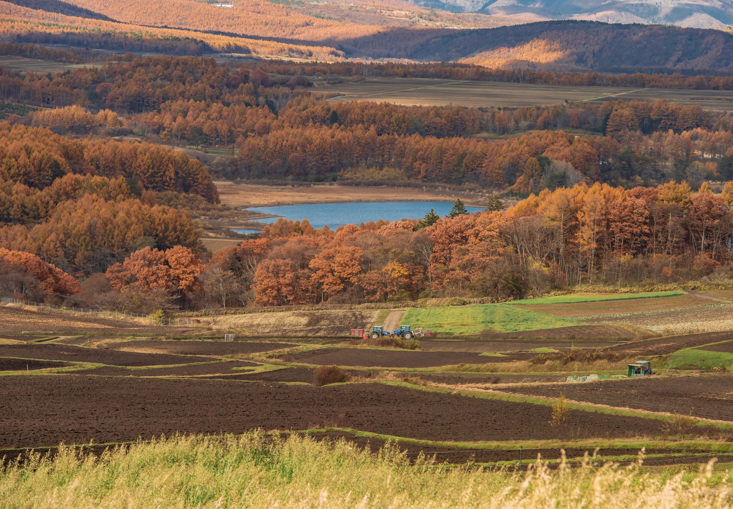 第55回(令和4年度)嬬恋村観光協会長賞 晩秋色に染まる(嬬恋村)の写真