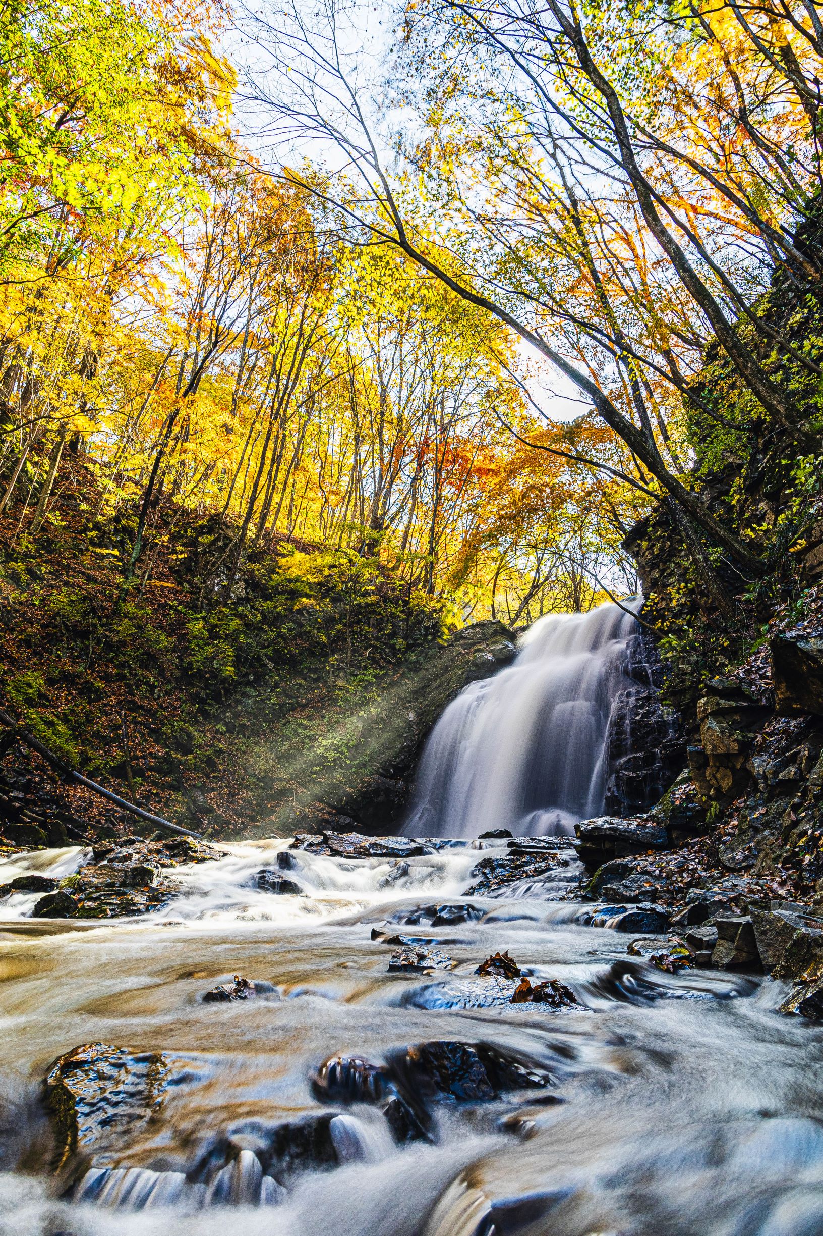 第57回(令和6年度)北軽井沢観光協会長賞 錦を纏う浅間大滝(長野原町・浅間大滝)の写真