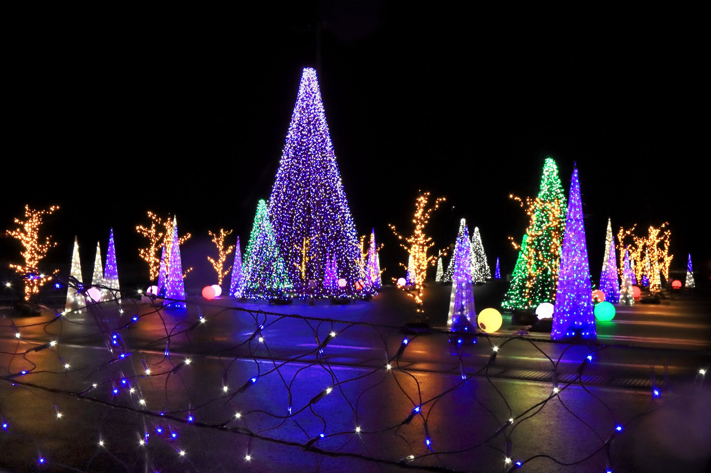 第55回（令和4年度）長野原観光協会長賞　八ッ場の風物詩（長野原町・道の駅八ッ場ふるさと館）の写真