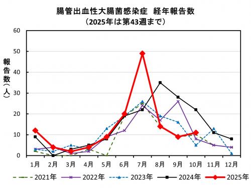 腸管出血性大腸菌感染症　経年報告数画像