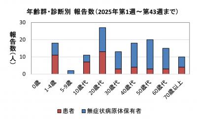 腸管出血性大腸菌感染症　年齢群別　診断別報告数画像