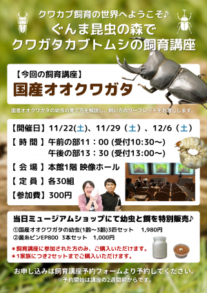 オオクワガタ飼育講座