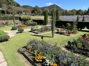 中之条ガーデンズ1の写真