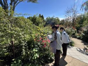 中之条ガーデンズ2の写真