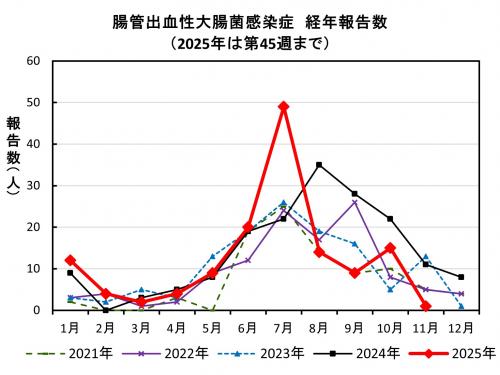 腸管出血性大腸菌感染症 経年報告数画像