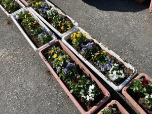 プランターの写真