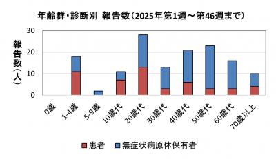 腸管出血性大腸菌感染症　年齢群別　診断別報告数画像
