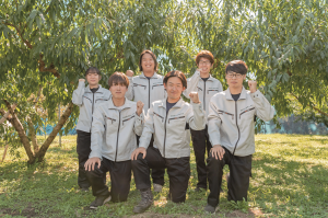 果樹集合の画像