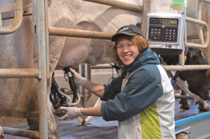 午後の実習の写真1