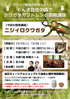 ニジイロクワガタ飼育講座