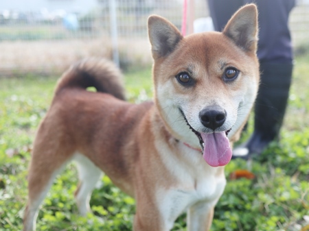 ちゃちゃのからだ写真1