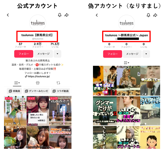 TikTokなりすましアカウントの画像