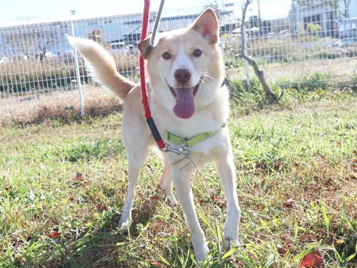 ピノワからだ写真1