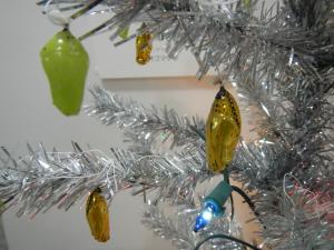 サナギツリー２