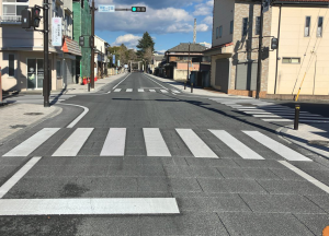 県土整備部長（車道舗装工 分割2号）三興エンジニアリング写真