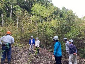試験地を視察している様子の写真