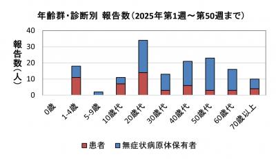 腸管出血性大腸菌感染症　年齢群別　診断別報告数画像