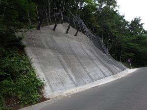 片品工区の写真