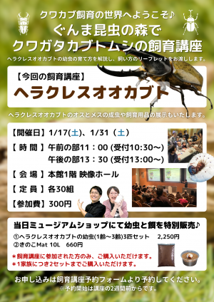 ヘラクレスオオカブト飼育講座