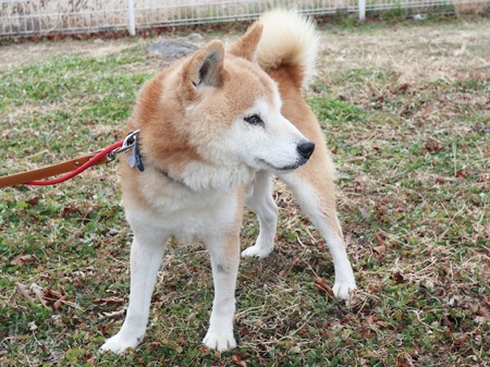 福禄寿からだ２