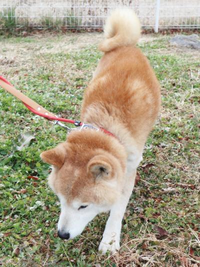 福禄寿からだ３