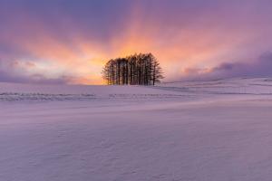 吾妻振興局長賞「薄明光線」の写真