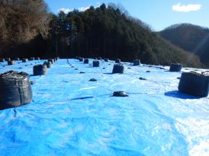 代執行の終了時の写真１