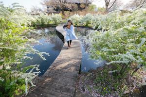 吾妻観光連盟会長賞「お花にかこまれて」の写真