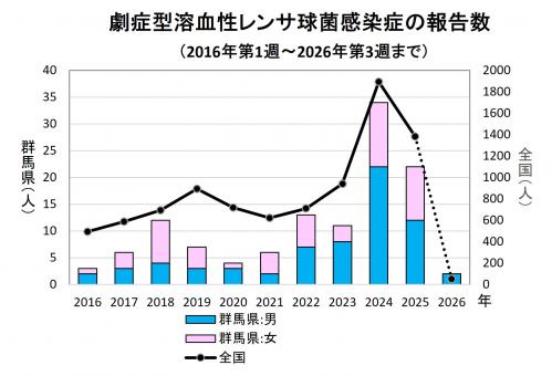 劇症型溶血性レンサ球菌感染グラフ　経年画像