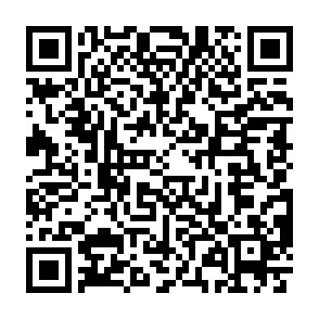 申し込みフォームの二次元コード