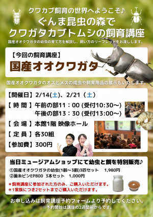 オオクワガタ飼育講座