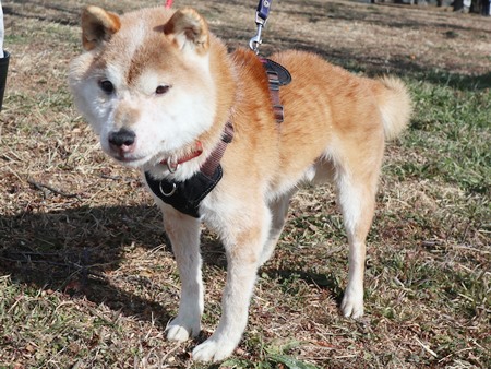 にっきぃのからだ写真3