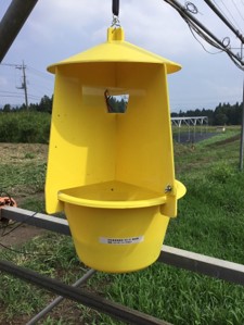 フェロモントラップ設置の様子の写真