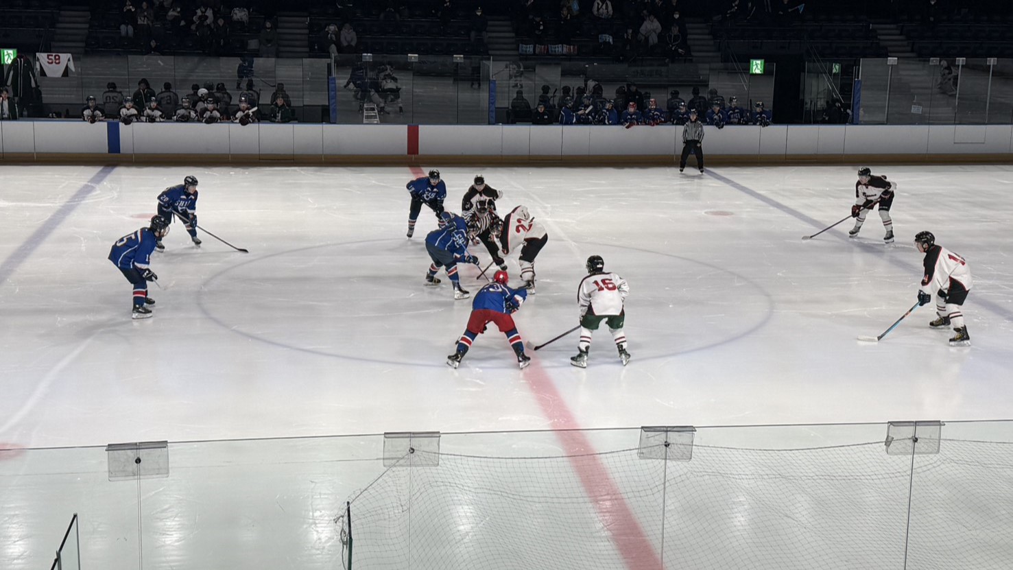 アイスホッケーの競技写真