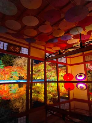 1位,kouichi_0520,宝徳寺(桐生市)の写真