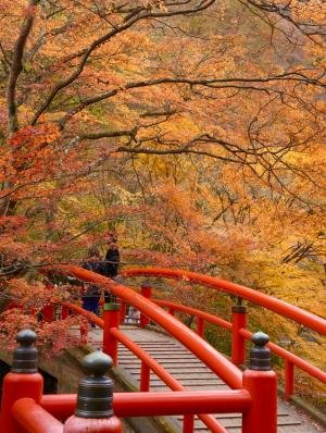 4位,hachikoba1,河鹿橋(渋川市)の写真