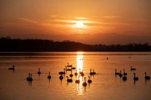 5位,kaeeru13,多々良沼(館林市)の写真