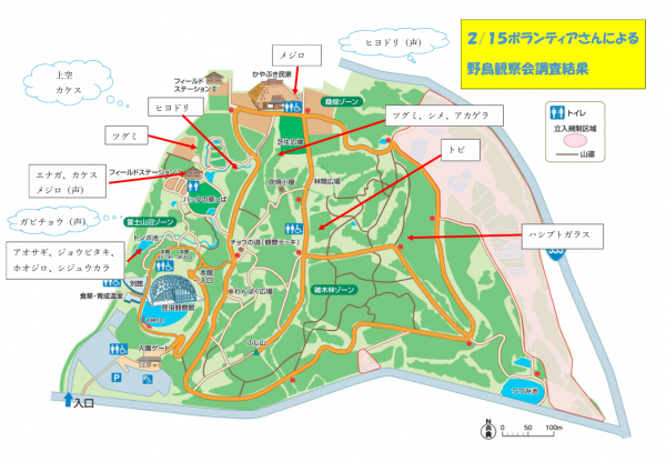ボランティアによる野鳥観察会結果2月15日