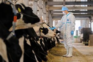 獣医師2（令和7年度）業務写真3