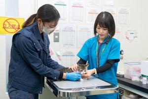 獣医師1（令和7年度）業務写真2