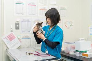 獣医師1（令和7年度）業務写真3