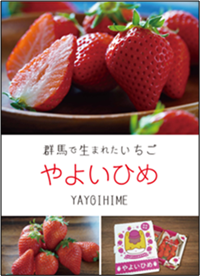 PR用ポスター画像