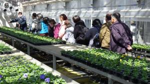 花き栽培現場見学の様子の写真