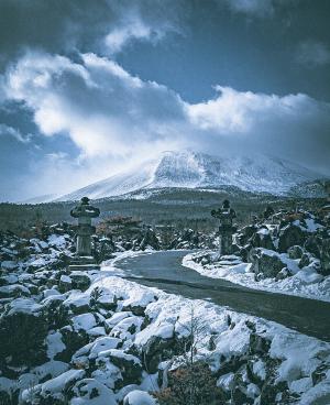 同率2位,yuki_desu_lalalaさん,鬼押出し園（嬬恋村）の写真